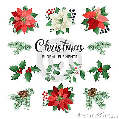 Poinsettia Flowers and Christmas Floral Elements in Watercolor Style vector. Vector Illustration