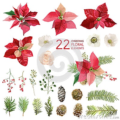 Poinsettia Flowers and Christmas Floral Elements - in Watercolor Vector Illustration