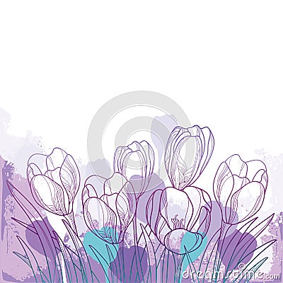 Vector spring bouquet with outline violet crocus or saffron flower and green leaf on the pastel background. Ornate floral bunch. Vector Illustration