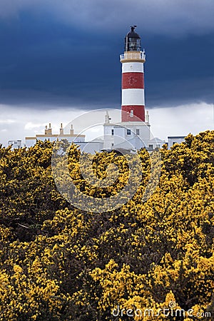 Point of Ayre Lighthouse on the Isle of Man Stock Photo