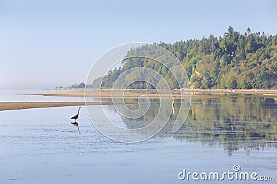 Point Roberts Dawn, Washington State Stock Photo