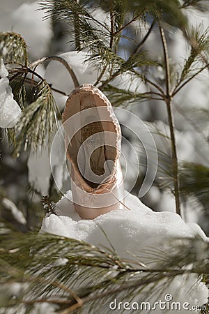 Pointe shoe Stock Photo