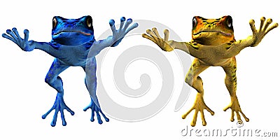 Poison Dart Frog Stock Photo