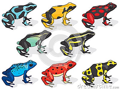 Poison Dart Frogs Vector Illustration