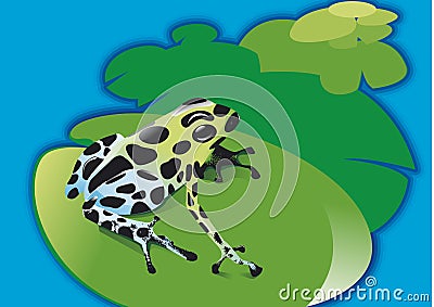 Poison frog on waterlily Vector Illustration