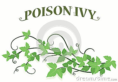 Poison Ivy Vines Background Vector Illustration