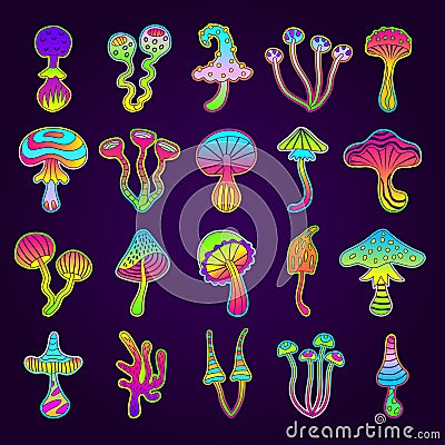 Poison mushroom. Colorful fairytale magic toxic drugs from fantasy mushroom unhealthy products recent vector botanical Vector Illustration