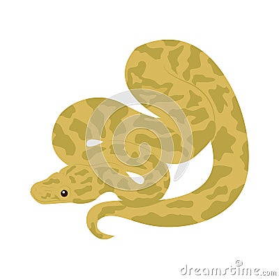 Poisonous dangerous reptile. Viper snake. Tattoo. Design element. Snake skin Vector Illustration