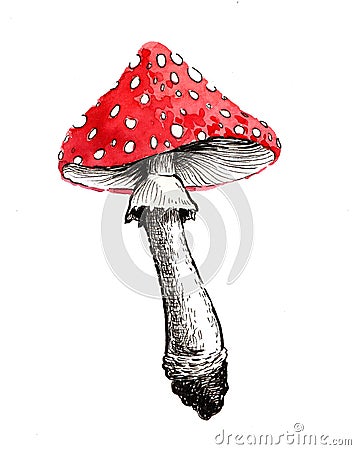 Poisonous mushroom Stock Photo