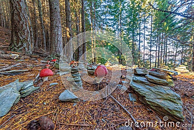 POISONOUS MUSHROOMS AND STACKING STONES IN THE WOOD. Stock Photo