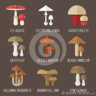 Poisonous mushrooms Vector Illustration