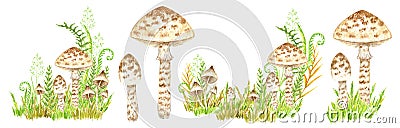 Poisonous mushrooms watercolor set, toadstool, inedible toxic mushroom, fly agaric, white toadstool. Isolated hand drawn Cartoon Illustration