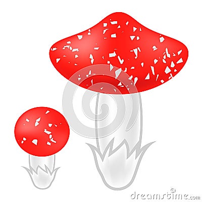 Poisonous Mushrooms Vector Illustration