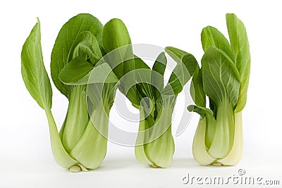 Pok Choi Stock Photo