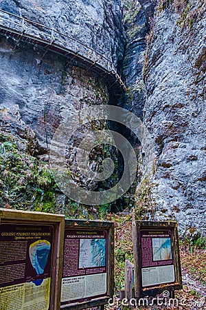 Pokljuka gorge near Bled Editorial Stock Photo