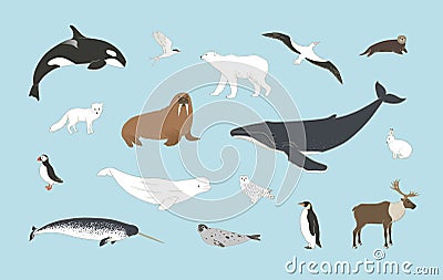 Polar animals set on blue background in vector. Arctic birds and mammals illustration with humpback whale, orca, polar bear, Vector Illustration