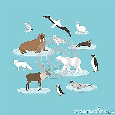 Polar animals vector set on blue background. Arctic animals on ice in circle illustration with polar bear, walrus, reindeer, harp Vector Illustration