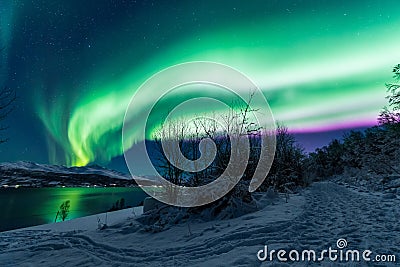 Polar arctic Northern lights aurora borealis sky star in Scandinavia Norway Tromso in the farm winter snow mountains Stock Photo