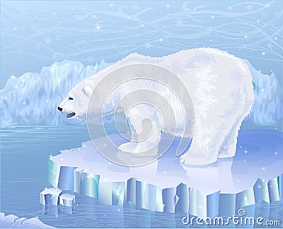 Polar bear Vector Illustration