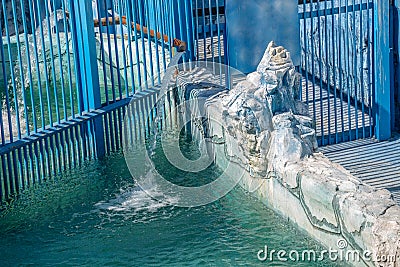 Polar bear cage in the zoo Stock Photo