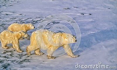 Polar bear with cubs,photo art Stock Photo