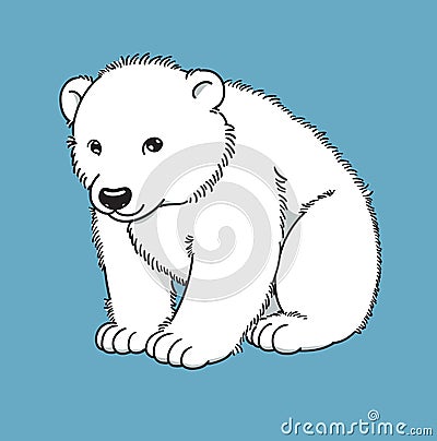 Polar bear Vector Illustration