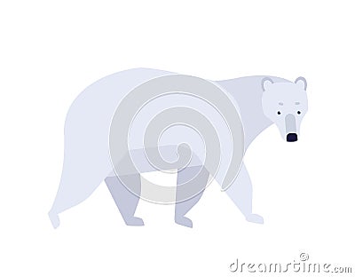 Polar bear flat vector illustration. Ursus maritimus minimalist drawing. Abstract arctic fauna representative. Cute Vector Illustration