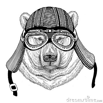 Polar bear Hand drawn image of animal wearing motorcycle helmet for t-shirt, tattoo, emblem, badge, logo, patch Cartoon Illustration