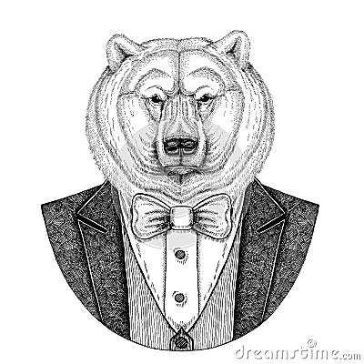 Polar bear Hipster animal Hand drawn illustration for tattoo, emblem, badge, logo, patch, t-shirt Cartoon Illustration