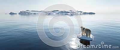 Polar bear on ice floe. Melting iceberg and global warming Stock Photo