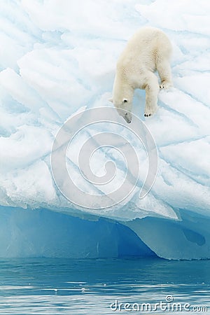 Polar bear on iceberg Stock Photo