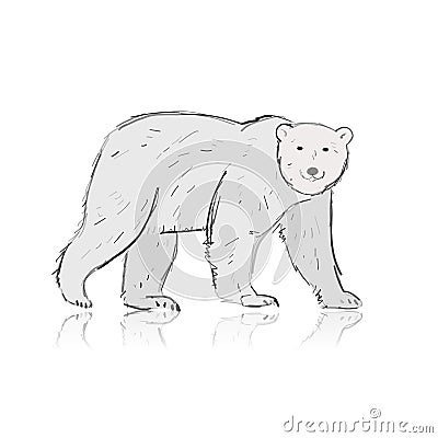 Polar Bear, sketch isolated on white background Vector Illustration