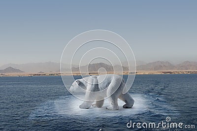 Polar bear on small iceberg Stock Photo