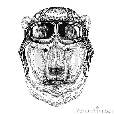 Polar bear wearing leather helmet Aviator, biker, motorcycle Hand drawn illustration for tattoo, emblem, badge, logo Cartoon Illustration