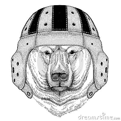 Polar bear Wild animal wearing rugby helmet Sport illustration Vector Illustration