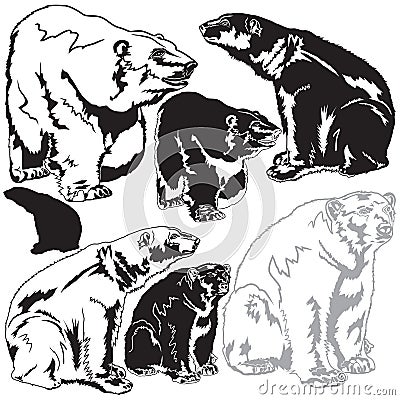 Polar bears Vector Illustration