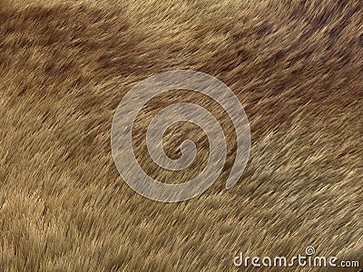 Polar Fox fur: brown pattern or background Stock Photo