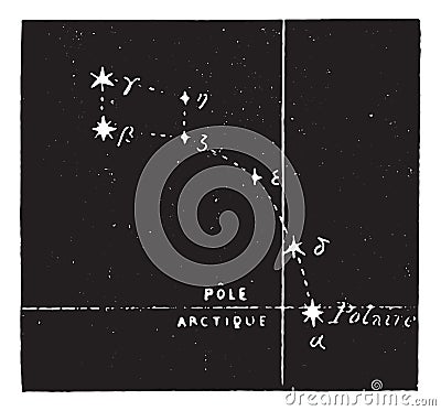 Polar star, vintage engraving Vector Illustration