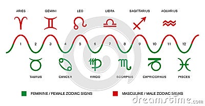 The polarity of the zodiac signs Vector Illustration