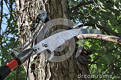 Pole Pruner Saw Stock Photo