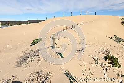 Poles with netting in dunes, used to stabilize the sand of the dunes at Witsand, South Africa Stock Photo