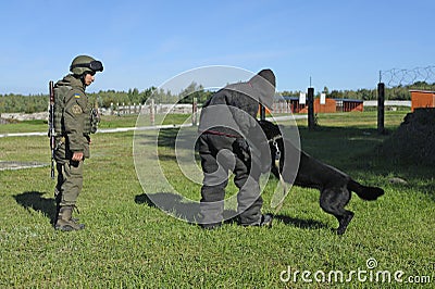 Police dog attacking a suspect man wearing protective cloth, a dog handler watching, training. Novo-Petrivtsi military Editorial Stock Photo