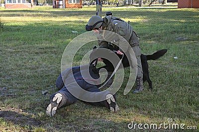 Police dog attacking a suspect man wearing protective cloth, a dog handler watching, training. Novo-Petrivtsi military Editorial Stock Photo