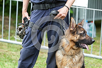 Police dog. Policeman with a German shepherd on duty. Stock Photo