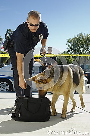 Police Dog Sniffing Bag Stock Photo