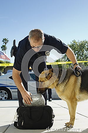 Police Dog Sniffing Bag Stock Photo
