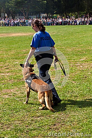 Police dogs show their discipline Editorial Stock Photo