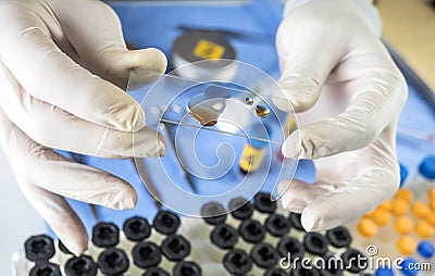 Police expert checks samples chemical as fundamental test in a murder case in crime lab Stock Photo