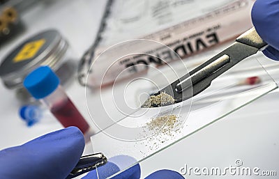 Police expert examines sand from the scene of a crime in support for microscope Stock Photo