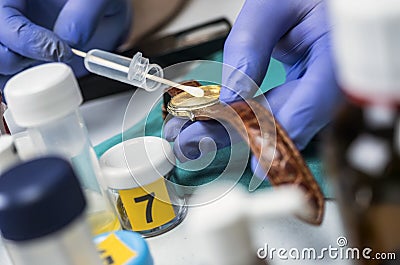 Police scientist working in Criminalistic Lab, victim clock analysis for murder Stock Photo